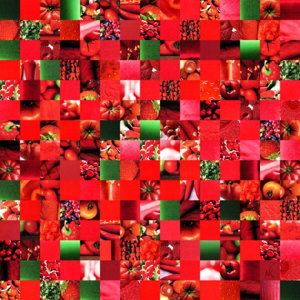 Fruits rouges - XL