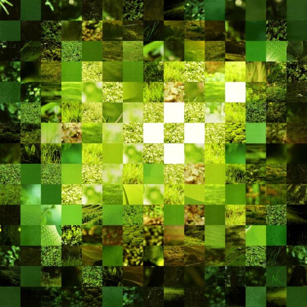Nature - XL